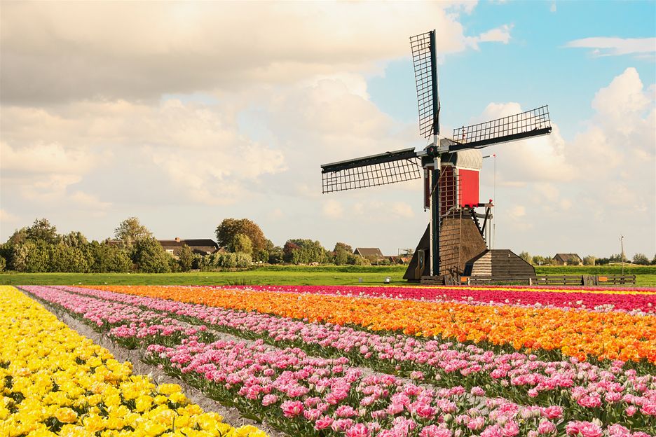 Netherlands_image_2