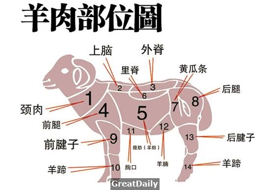 知識庫：豬、牛、羊、雞等原料的分割與用途