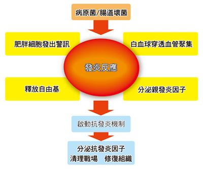 醫生總叫你多喝水，您知道為什麼嗎？很重要！看完後你不敢再不喝水了！（請用力分享轉載） ...