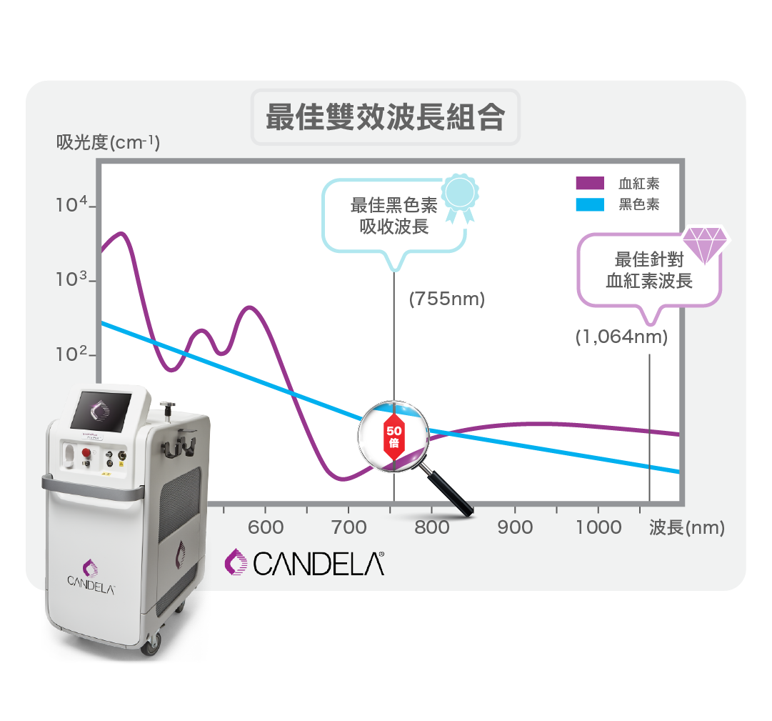 全身激光脫毛